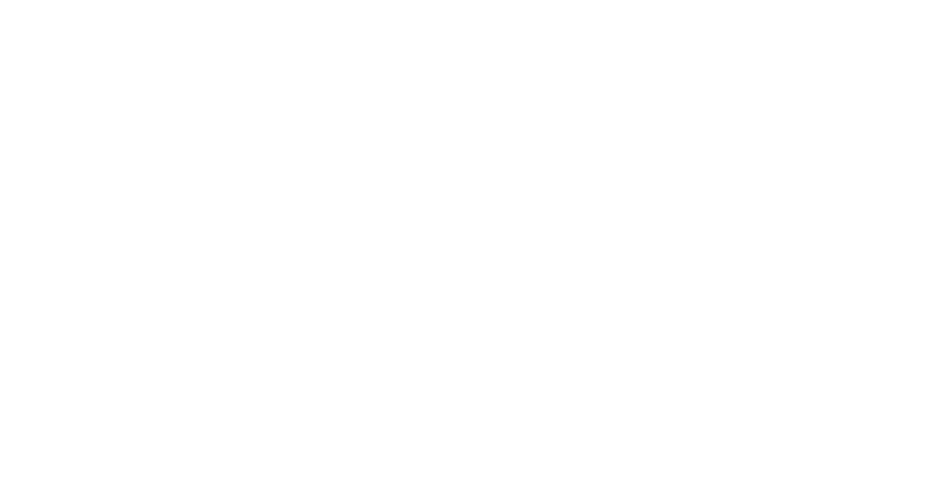 Avada Agency